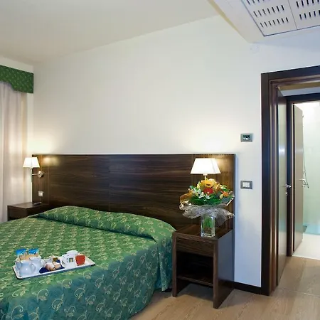 Delfino Venezia Местре